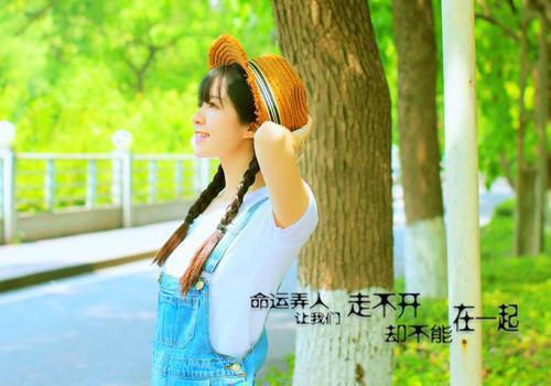 主角温栖雪江若雪沈寻川小说免费阅读最新章节