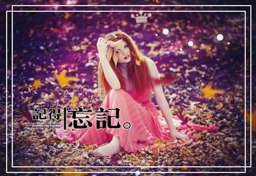 主角是韶华冷言冰的小说免费阅读全文大结局