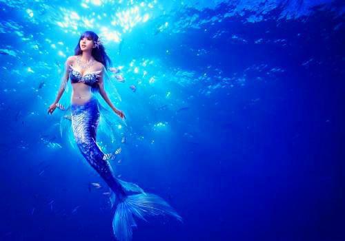 此爱难言永相别免费阅读江槐陆宸枫 此爱难言永相别佚名小说