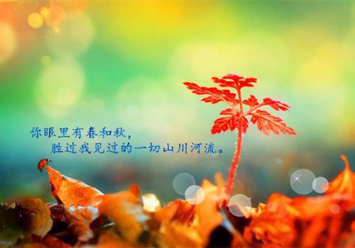 唐卿予陈清彦（陈清彦唐卿予）全文免费阅读无弹窗大结局_唐卿予陈清彦最新章节列表（陈清彦唐卿予）