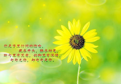 虐心资助柳如烟王小艺未删节小说全本阅读