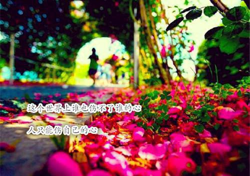 是我入戏太深全文完结阅读 顾嘉越黎青时沈言之小说阅读最新章节