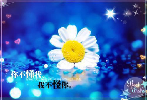 岁岁年年待君归谢清川商奴by奶油海豹