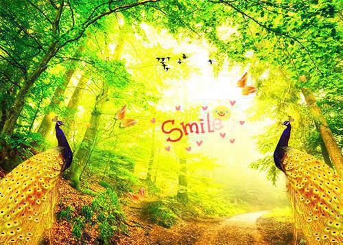 孟姝雪沈子骞全文阅读 孟姝雪沈子骞小说最新章节