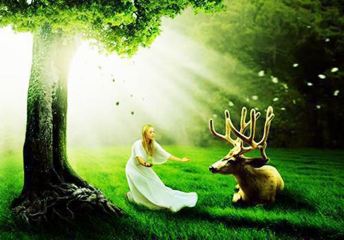 白雪儿厉焱小说阅读 白雪儿厉焱全文免费无广告