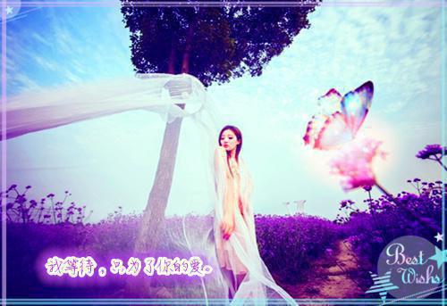 商野京知意全文最新章节正版小说免费阅读