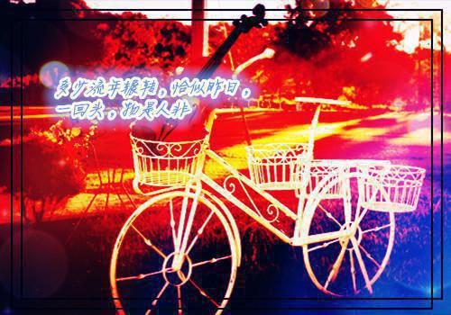 杨朝峰姜云小说最后结局 杨朝峰姜云完结版免费阅读