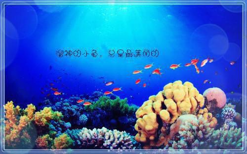 沈彦林思思大结局免费阅读 沈彦林思思全文小说