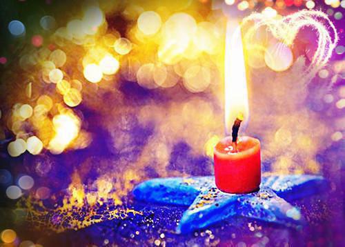 他以为我害死了他的白月光,于是拔光我的鳞片要我赎罪全文阅读 姜洄沈时序姜白小说最新章节