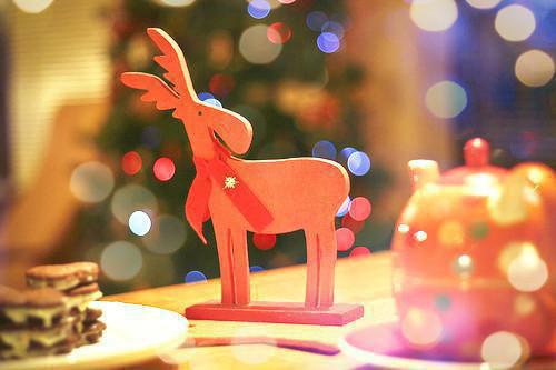 重生后，回到实习生来研究所当天姜堰林湛苏洛可小说在线免费阅读(大结局)