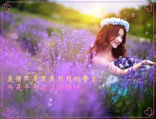 沈阙段衍全文最新章节正版小说免费阅读