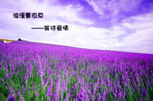 岳将军免费全文 岳将军小说在线阅读