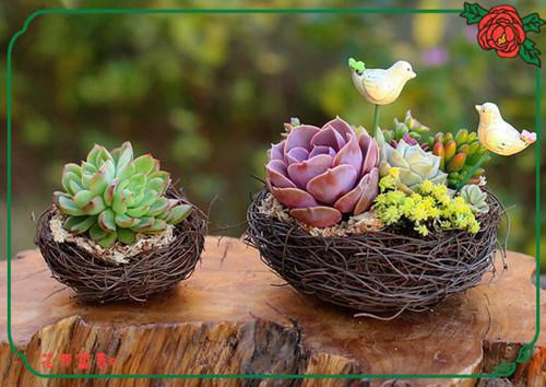 沈如鸳秦厉珩小说免费 沈如鸳秦厉珩第四章在线阅读