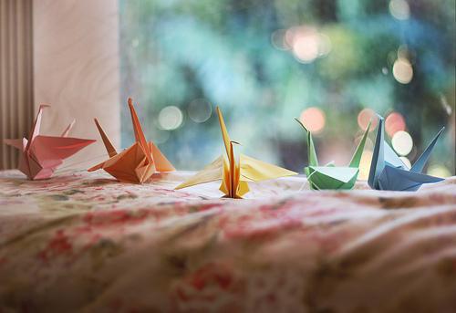 独孤嫣韩廷君小说叫什么 独孤嫣韩廷君小说全文免费阅读