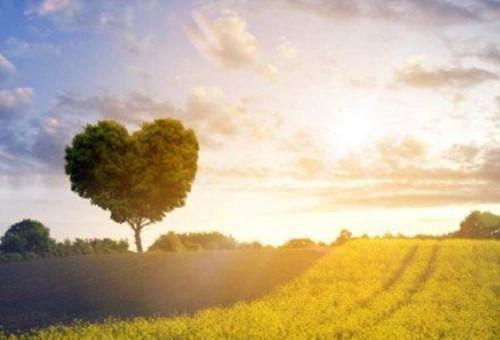 望芷免费阅读 沈牧言孟芷小说无弹窗