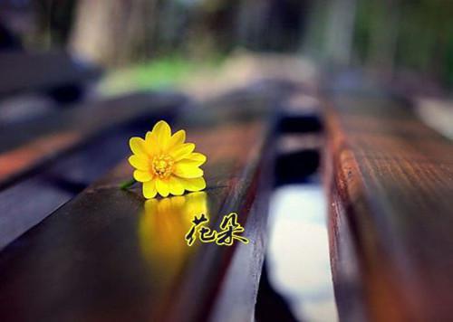 奚听筠温实诩免费大结局 表妹万福：侯府世子宠妻无度完结小说