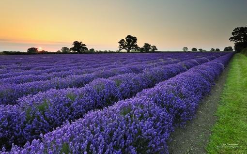 主角沈惜荷霍云霄小说免费阅读最新章节