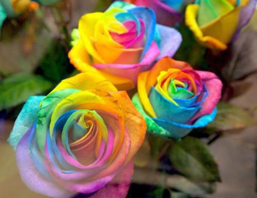 岁岁长平全文阅读 姜岁安安柔小说无删减无弹窗