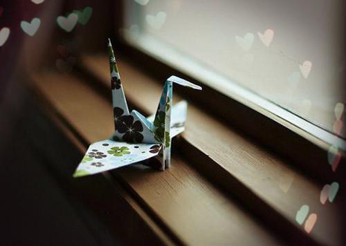 (最新)顾眠沈临州李念小说完整版免费阅读