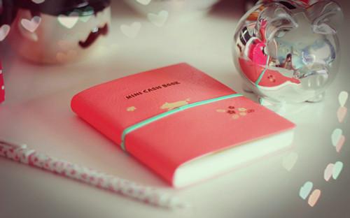 流产那天他在陪助理看极光，我转头卷款死遁了秦时越沈婉许清歌完结小说全文在线阅读