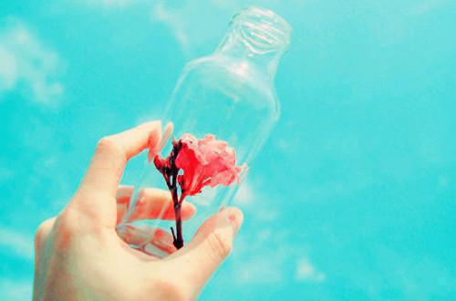 姜娆封岑全文免费大结局 姜娆封岑小说在线阅读