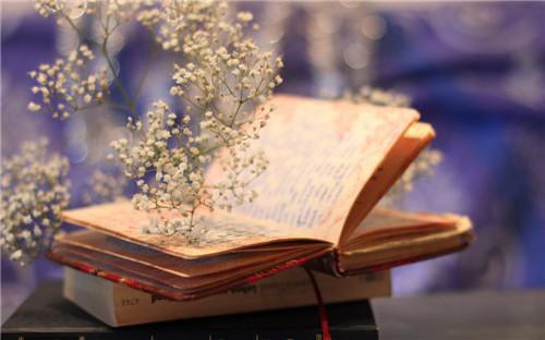 江屿小说免费 江屿第三章在线阅读