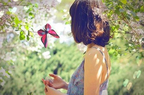 苏归梨卫泽川全本免费阅读 贵女发疯求死后，3个攻略对象悔疯了最新章节