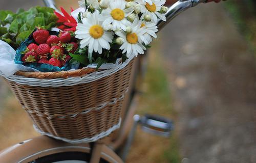 靳斯年关兮大结局免费阅读关兮靳斯年最新热点小说