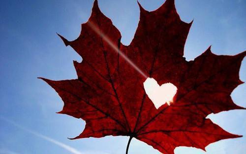 《搬弄是非的老公父子》最新章节免费阅读by佚名大结局