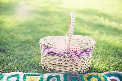 老公往我的碗里洒把葱后我提出离婚沈之洲南栀舒妍完整版小说免费阅读