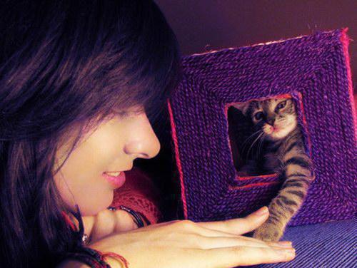 旧时早餐小说全文免费阅读(张桂枝慧慧)全文免费张桂枝慧慧读无弹窗大结局_ 张桂枝慧慧免费张桂枝慧慧读最新章节列表（旧时早餐小说）