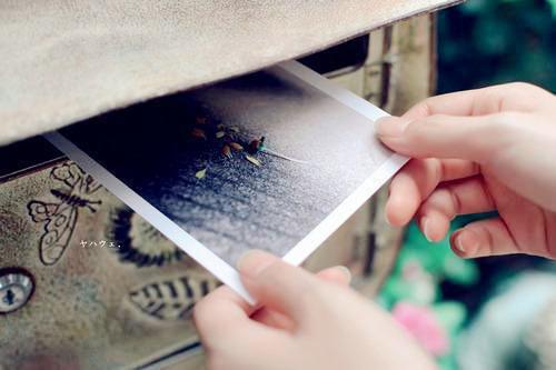 孙笑笑明月小说 孙笑笑明月完整版免费阅读