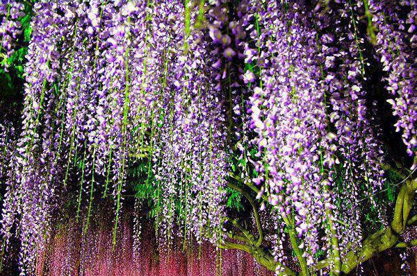 元泽方颖傅凯小说全免读 元泽方颖傅凯第6章在线阅读