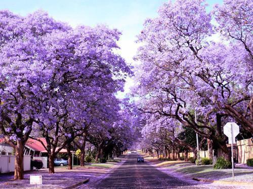 周成演李云星小说全文阅读 周成演李云星