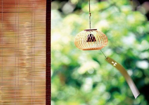 墨雨叶如叶灵什么小说 墨雨叶如叶灵全文免费阅读