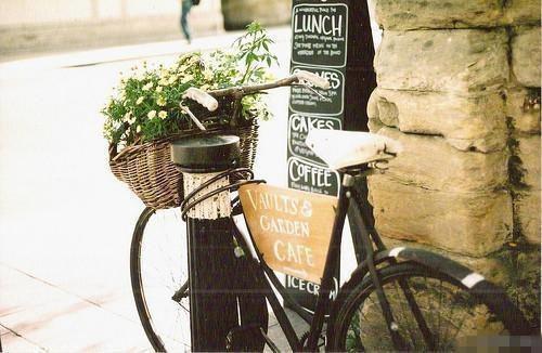 许挽意谢昀什么小说 许挽意谢昀全文免费阅读