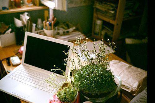 下山后，我的替嫁女总裁楚南秦雅柔小说在线阅读