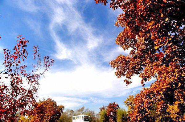 《温芙靳言小说》无弹窗全文免费阅读