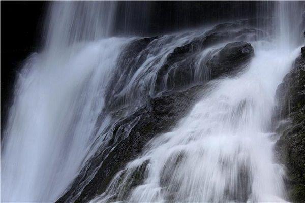 江云禾宋随州（江云禾宋随州）免费阅读无弹窗大结局-江云禾宋随州免费阅读大结局最新章节列表