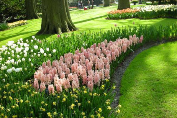 时宴温舒宁姜玥小说章节目录 时宴温舒宁姜玥免费阅读