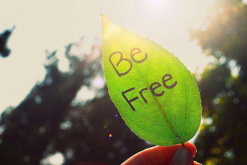 我不做扶弟魔在线阅读全文 林峰安素无删减小说