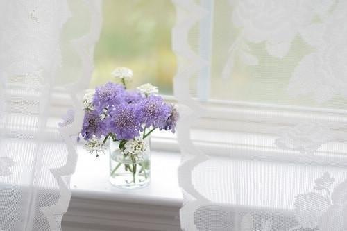 顾念徐奕洺小说全文 顾念徐奕洺小说免费阅读大结局