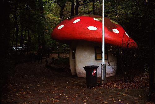 李文姝简云(李文姝简云)全文免费阅读_李文姝简云章节免费阅读