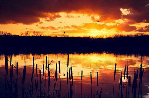 林泽沐楚洛璃小说 林泽沐楚洛璃全文免费阅读