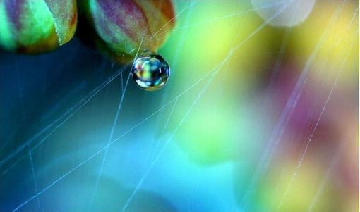 姐姐打造爱心博主人设,赚得盆满钵满,却在捐献骨髓当天宋暖暖宋清清全文免费阅读(已完结)