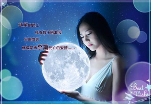 主角秦舒岑厉云辞小说免费阅读最新章节