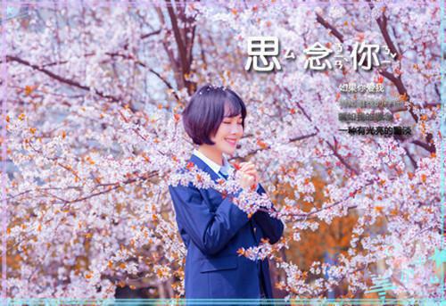 曾明顾菲张文熙小说阅读 曾明顾菲张文熙全文免费无广告