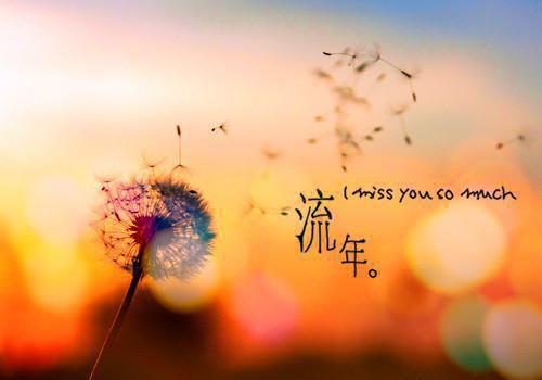 顾一瑾谢苒谢苒顾一瑾小说-顾一瑾谢苒小说全文免费阅读