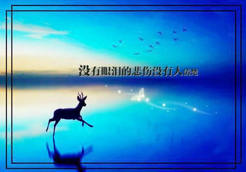 宋书汀霍钦川小说免费试读 宋书汀霍钦川第10章