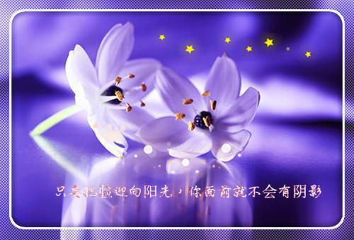 (抖音小说)盛宁沈无越免费阅读第四章